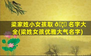 梁家姓小女孩取 🦈 名字大全(梁姓女孩优雅大气名字)